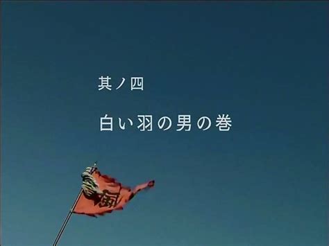  「シロイハネの鳥」と、その謎めいた魔法！